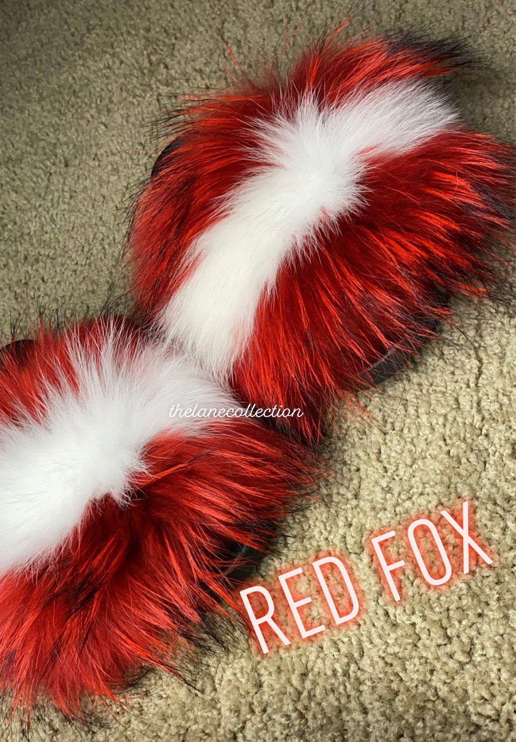 Red Fox